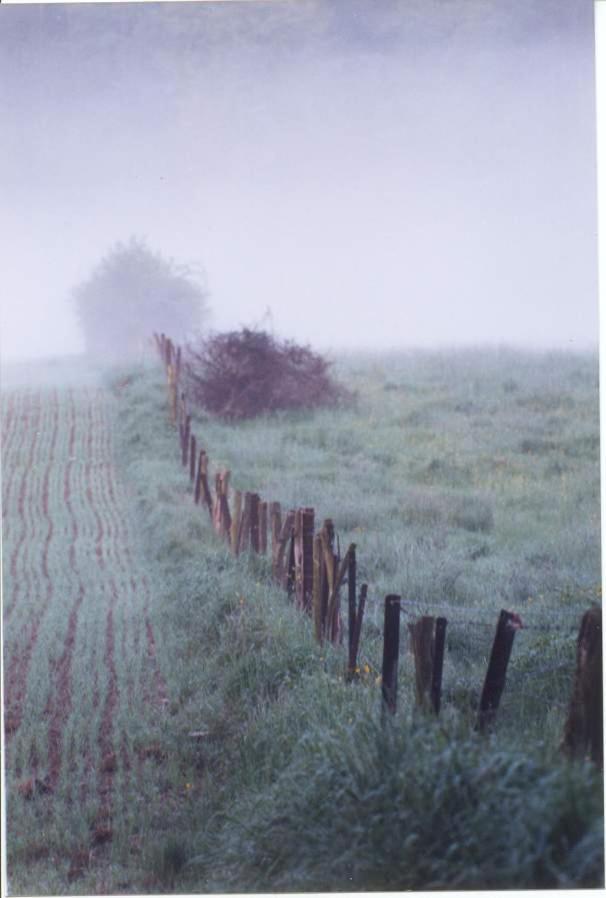 Ferme De La Prevote Villa Hanzinne Buitenkant foto